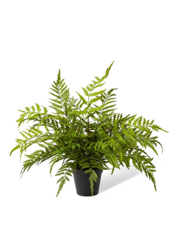 faux fern