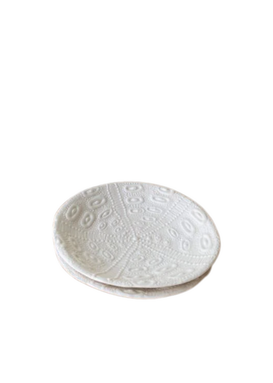 mode urchin plate